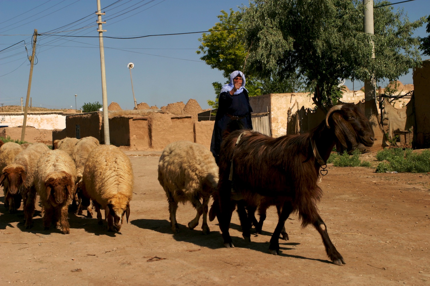 Kultur, Geschichte, Archäologie, Natur und Reisen in Istanbul und